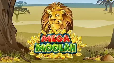 Mega Moolah Progressive Jackpot - Million dollar prizes